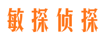 新河敏探私家侦探公司